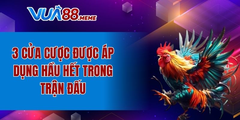 3 cửa cược được áp dụng hầu hết trong trận đấu