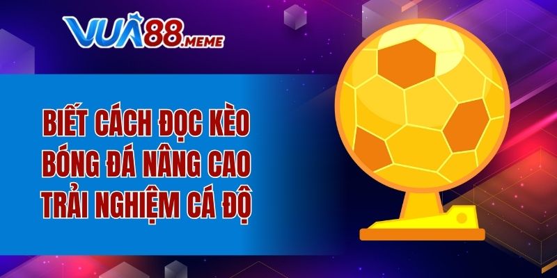 Biết cách đọc kèo bóng đá nâng cao trải nghiệm cá độ