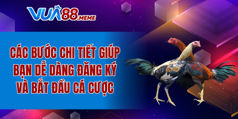 Các bước chi tiết giúp bạn dễ dàng đăng ký và bắt đầu cá cược