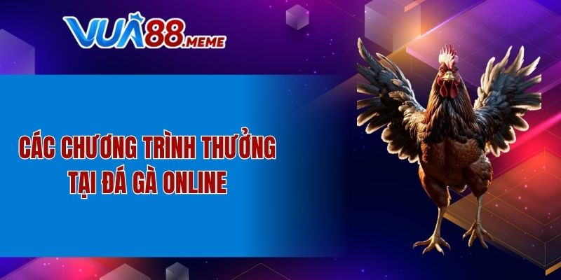 Các chương trình thưởng tại đá gà online