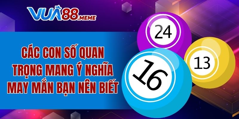 Tổng hợp giải mã mơ bắt được 33 đánh con gì nên biết
