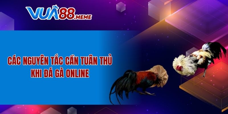 Các nguyên tắc cần tuân thủ khi đá gà online