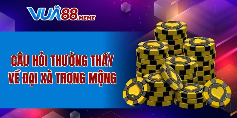 Mơ Thấy Trăn Đánh Số Mấy - Thông Điệp May Mắn Từ Giấc Mơ 7 Câu hỏi thường thấy về đại xà trong mộng