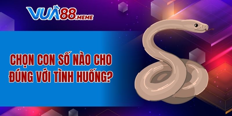 Mơ Thấy Trăn Đánh Số Mấy - Thông Điệp May Mắn Từ Giấc Mơ 5 Chọn con số nào cho đúng với tình huống?