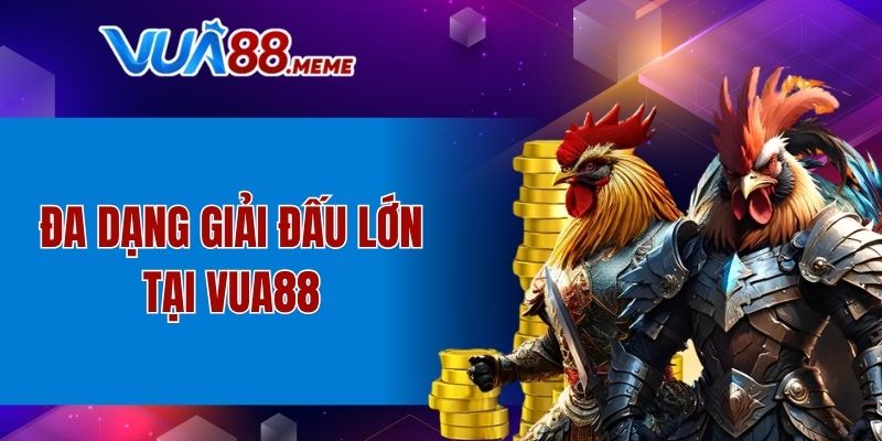 Đa dạng giải đấu lớn tại VUA88 