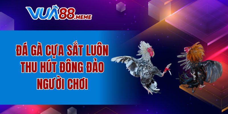Đá gà cựa sắt luôn thu hút đông đảo người chơi
