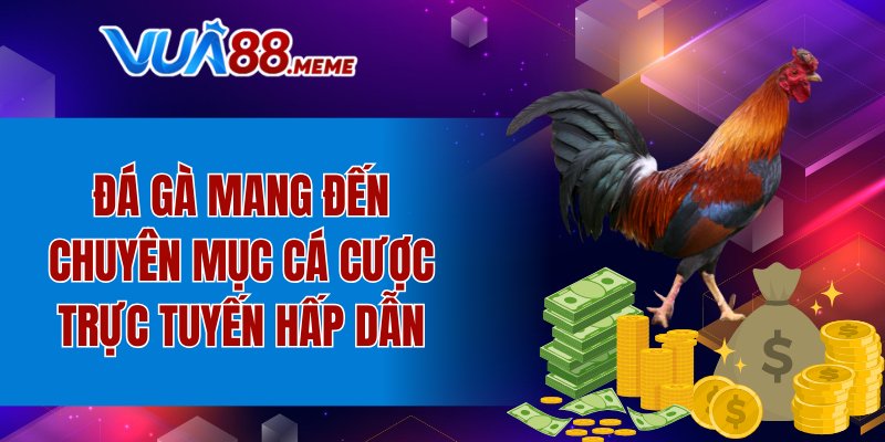 Đá gà mang đến chuyên mục cá cược trực tuyến hấp dẫn