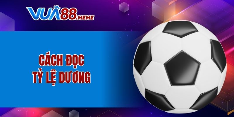 Đọc tỷ lệ dương trong kèo chấp