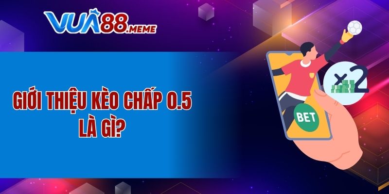 Giới thiệu kèo chấp 0.5 là gì?