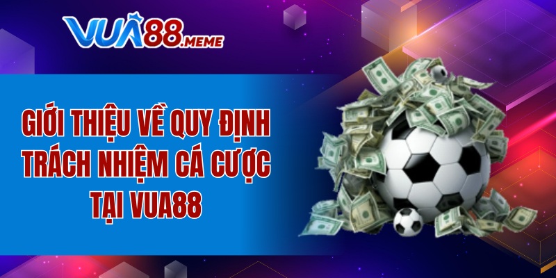 Trách Nhiệm Cá Cược - Hạn Chế Rủi Ro, An Toàn Trải Nghiệm 7 Giới thiệu về quy định trách nhiệm cá cược tại VUA88