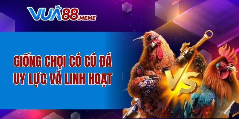 Giống chọi có cú đá uy lực và linh hoạt