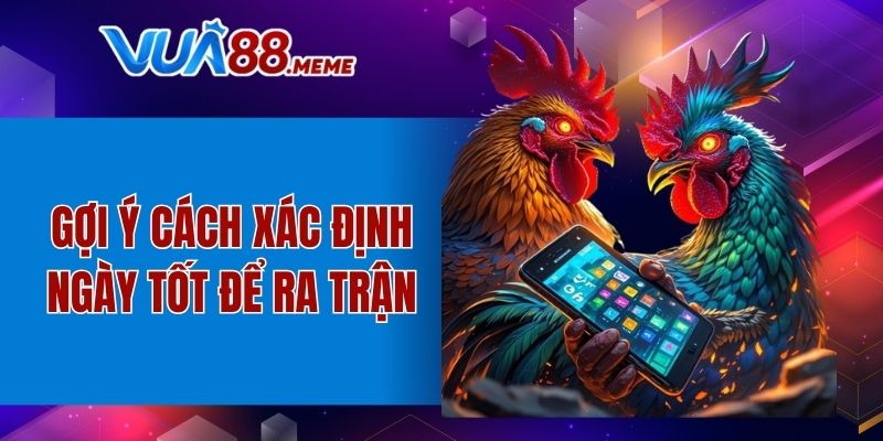 Gợi ý cách xem ngày đá gà tốt ra trận