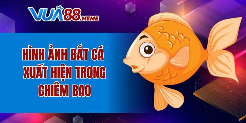 Hình ảnh bắt cá xuất hiện trong chiêm bao