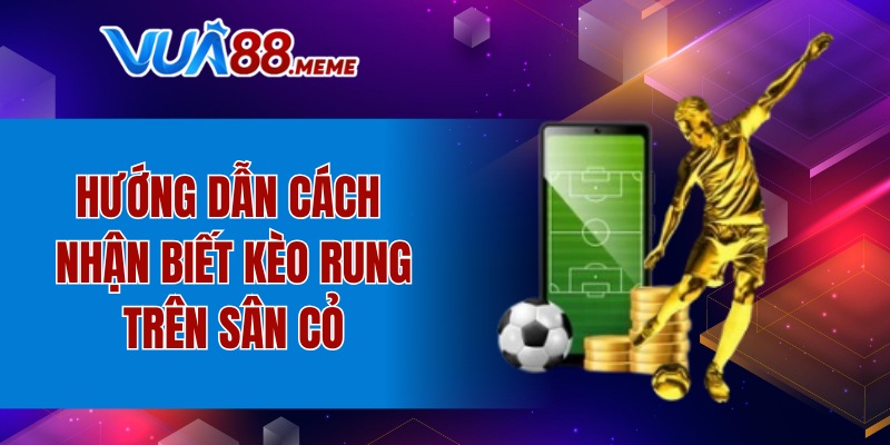 Hướng dẫn cách nhận biết kèo rung trên sân cỏ