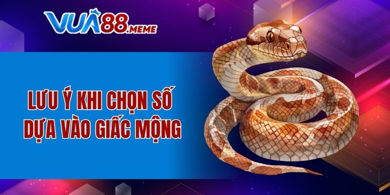 Lưu ý khi sử dụng phương pháp chọn số dựa vào mơ thấy rắn đánh con gì 
