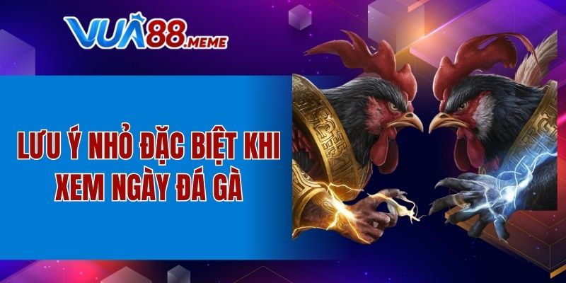 Lưu ý nhỏ đặc biệt khi xem ngày đá gà