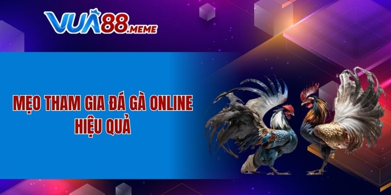 Mẹo tham gia đá gà online hiệu quả