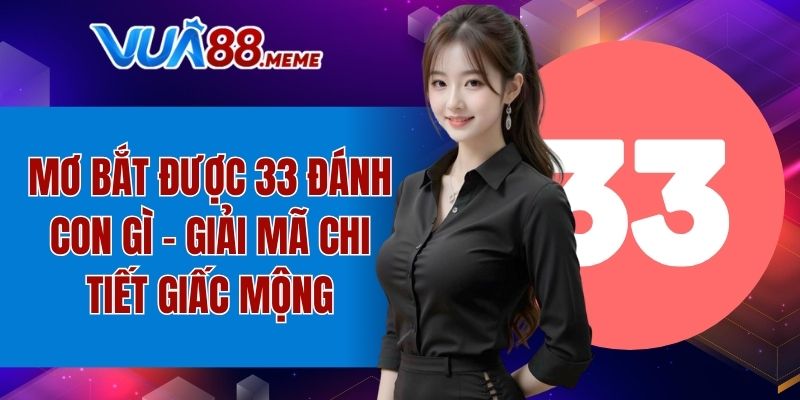 Mơ Bắt Được 33 Đánh Con Gì