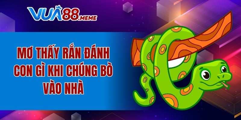 Mơ thấy rắn đánh con gì khi chúng bò vào nhà