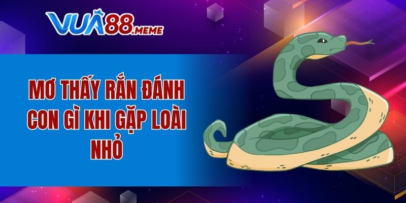 Mơ thấy rắn đánh con gì khi gặp loài nhỏ