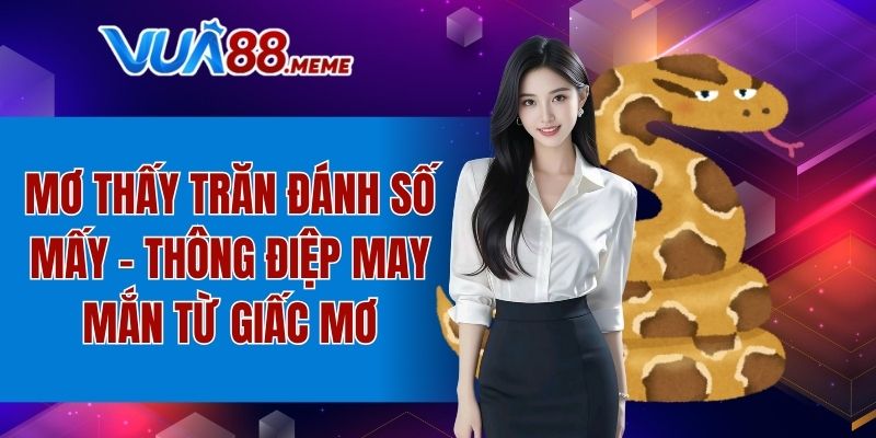 Mơ thấy trăn đánh số mấy