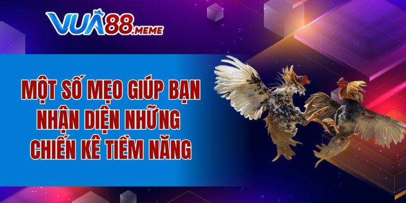Một số mẹo giúp bạn nhận diện những chiến kê tiềm năng