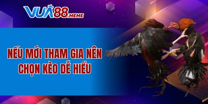 Nếu mới tham gia nên chọn kèo dễ hiểu