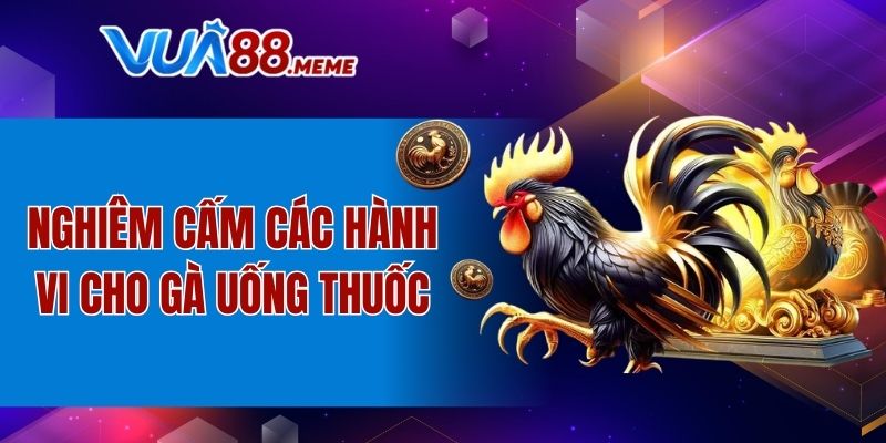 Nghiêm cấm các hành vi cho gà uống thuốc