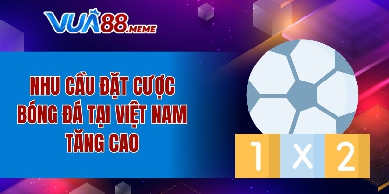 Nhu cầu đặt cược bóng đá tại Việt Nam tăng cao
