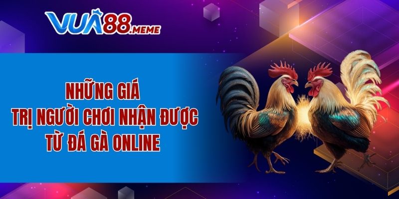 Những giá trị người chơi nhận được từ đá gà Online 