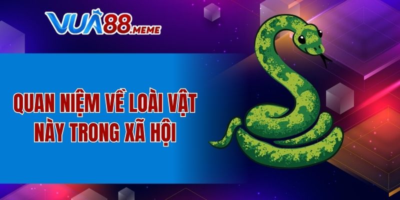 Mơ Thấy Trăn Đánh Số Mấy - Thông Điệp May Mắn Từ Giấc Mơ 3 Quan niệm mơ thấy trăn đánh số mấy