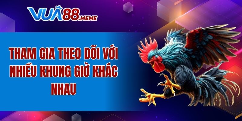 Tham gia theo dõi với nhiều khung giờ khác nhau