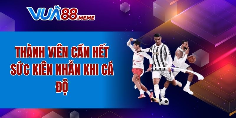 Thành viên cần hết sức kiên nhẫn khi cá độ
