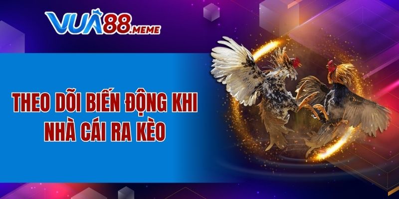 Theo dõi biến động khi nhà cái ra kèo