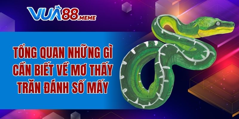 Mơ Thấy Trăn Đánh Số Mấy - Thông Điệp May Mắn Từ Giấc Mơ 2 Tổng quan những gì cần biết về mơ thấy trăn đánh số mấy