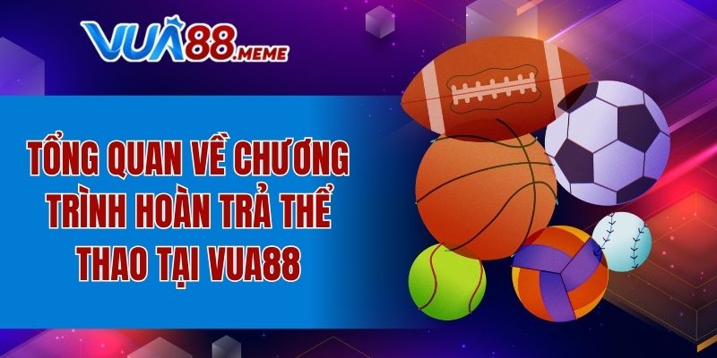 Hoàn Trả Thể Thao - 100% Mỗi Ngày, Không Giới Hạn Cược 2 Tổng quan về chương trình hoàn trả thể thao tại VUA88