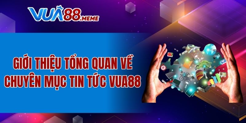 Tổng quan về chuyên mục tin tức trên nền tảng