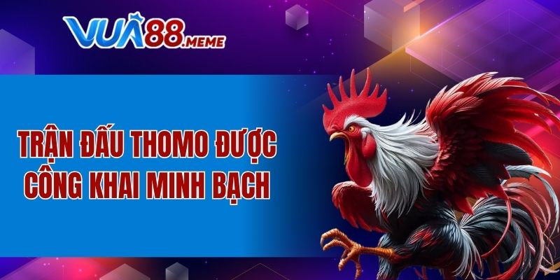 Trận đấu Thomo được công khai minh bạch