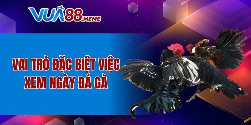 Vai trò đặc biệt việc xem ngày đá gà